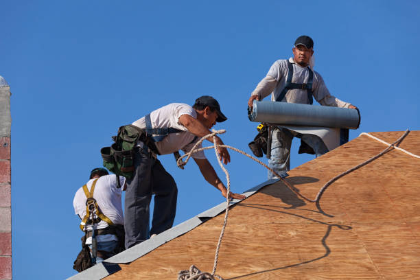 Best Roof Maintenance Services  in Mount Hope, WV