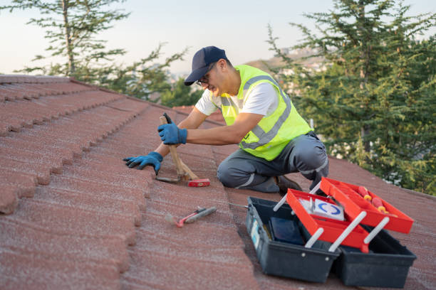 Best Roof Repair Services  in Mount Hope, WV